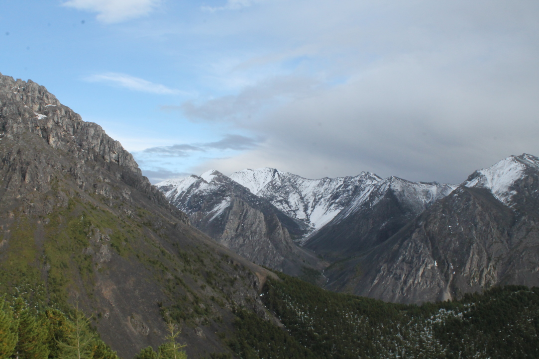 International Laboratory of Landscape Ecology Opens at HSE University