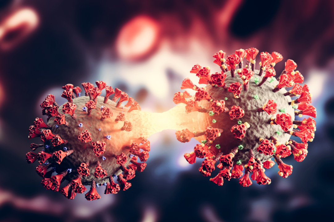 Illustration for news: HSE Biologists Explain Mechanism behind Coronavirus Evolution